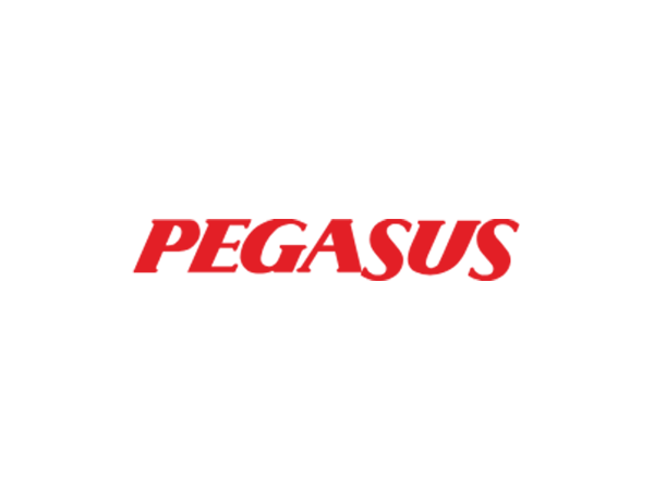Pegasus